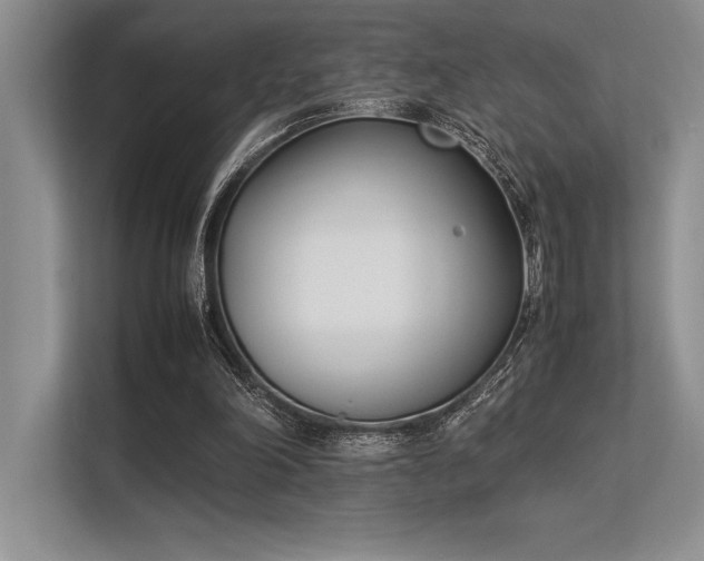 X0000113350198200909221151