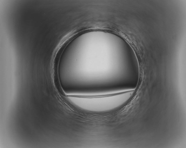 X0000113350199200909221151