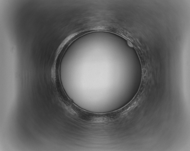 X0000113350200200909221151