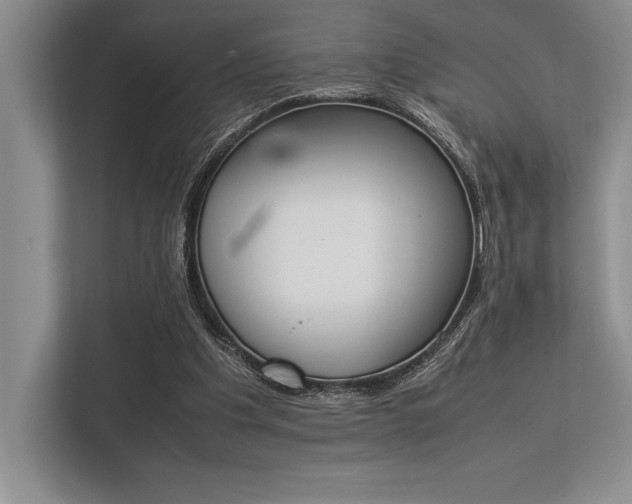 X0000113350201200909221151