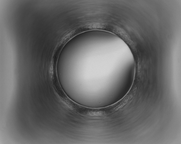 X0000113350202200909221151