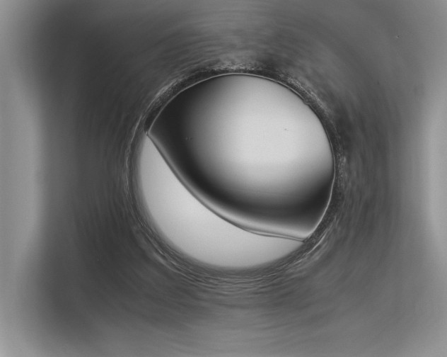 X0000113350203200909221151