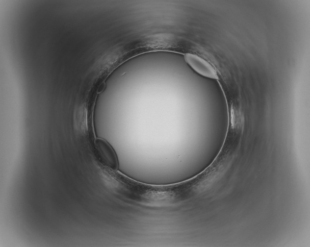 X0000113350205200909221151