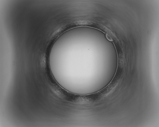 X0000113350207200909221151