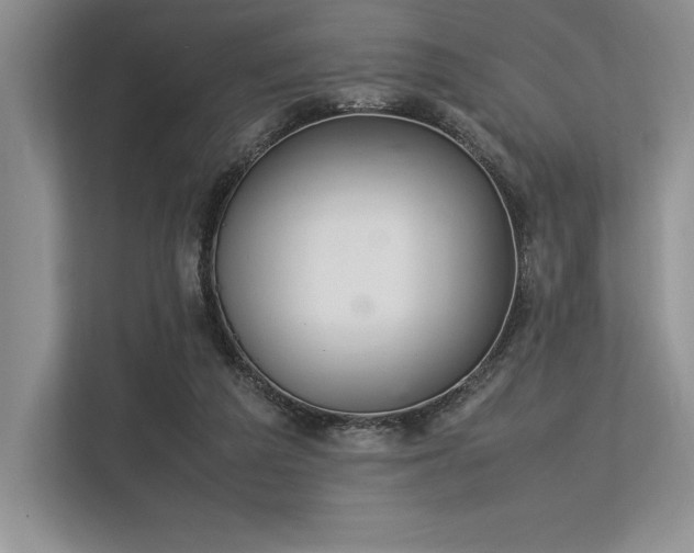X0000113350209200909221151