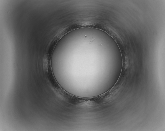 X0000113350210200909221150