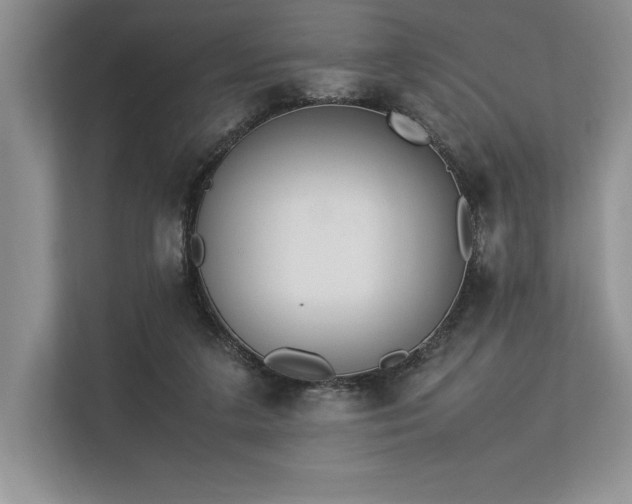 X0000113350211200909221150