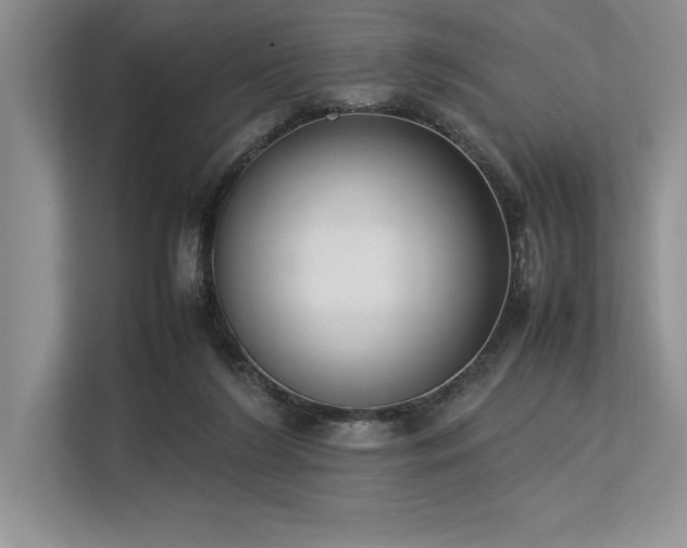 X0000113350212200909221150