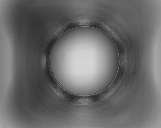 X0000113350213200909221150