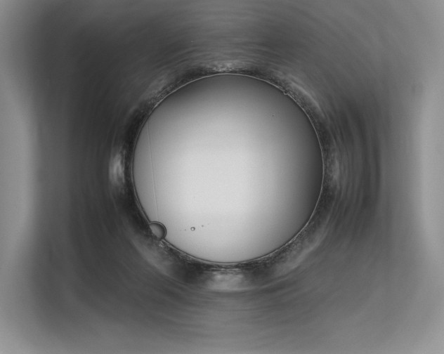 X0000113350214200909221150