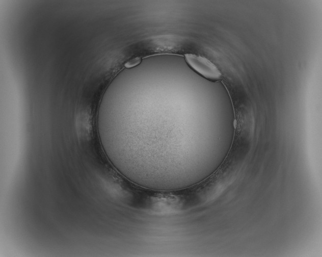 X0000113350215200909221150