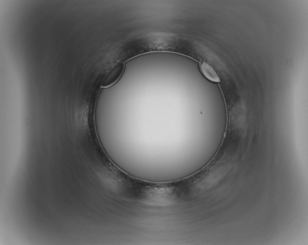 X0000113350217200909221150