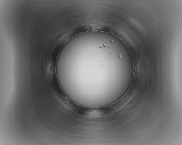 X0000113350218200909221150
