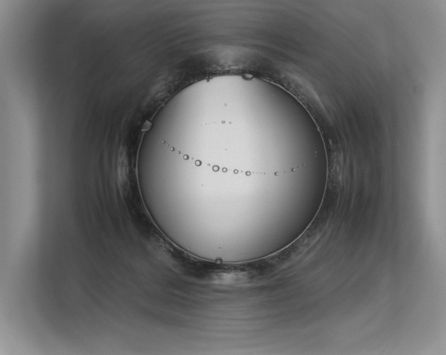 X0000113350220200909221150