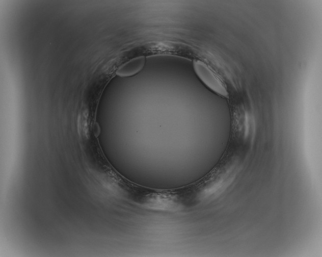 X0000113350223200909221150