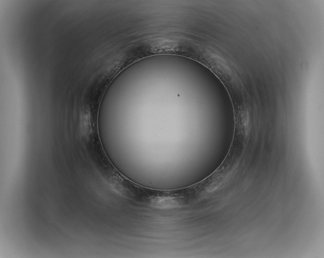 X0000113350224200909221150