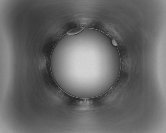 X0000113350225200909221150