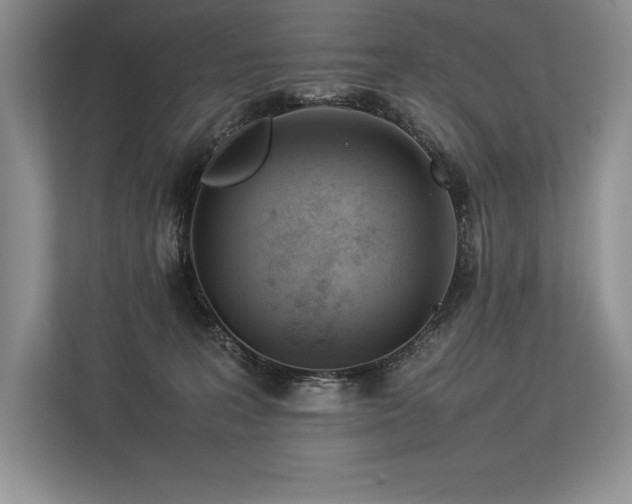 X0000113350227200909221150