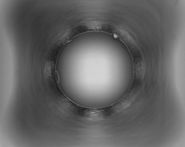 X0000113350229200909221150