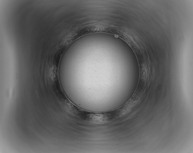 X0000113350230200909221150