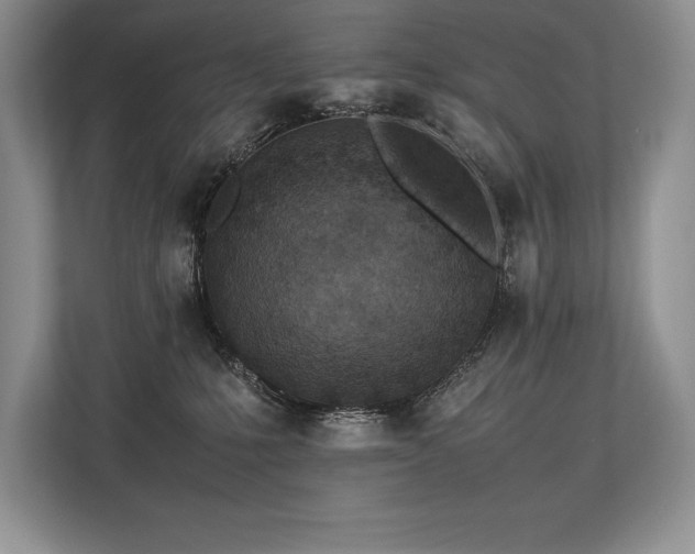 X0000113350231200909221150