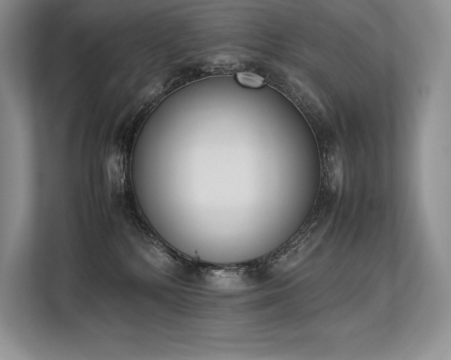 X0000113350232200909221150