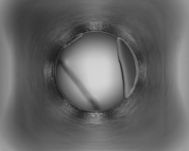 X0000113350233200909221150
