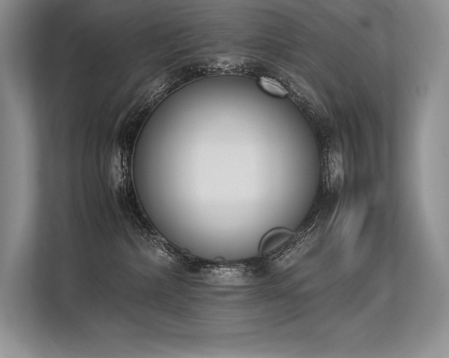 X0000113350236200909221150
