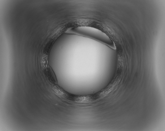 X0000113350237200909221150