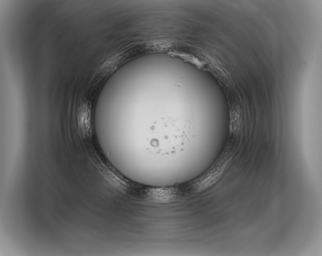 X0000113350238200909221150