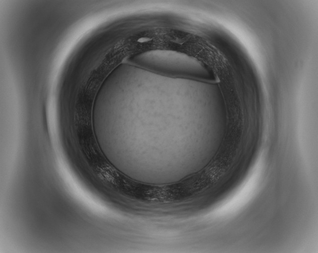X0000113350239200909221150