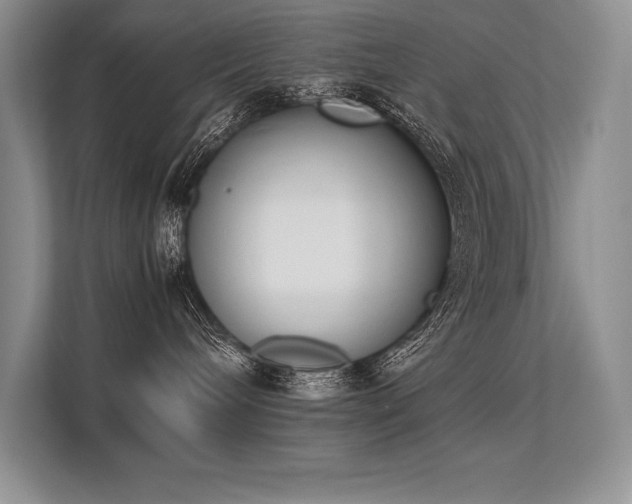 X0000113350240200909221150