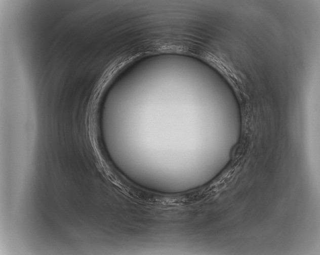 X0000113350241200909221149