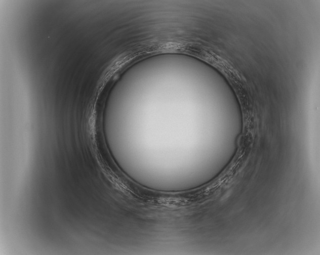 X0000113350242200909221149