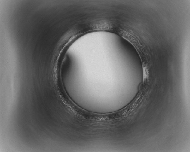 X0000113350243200909221150