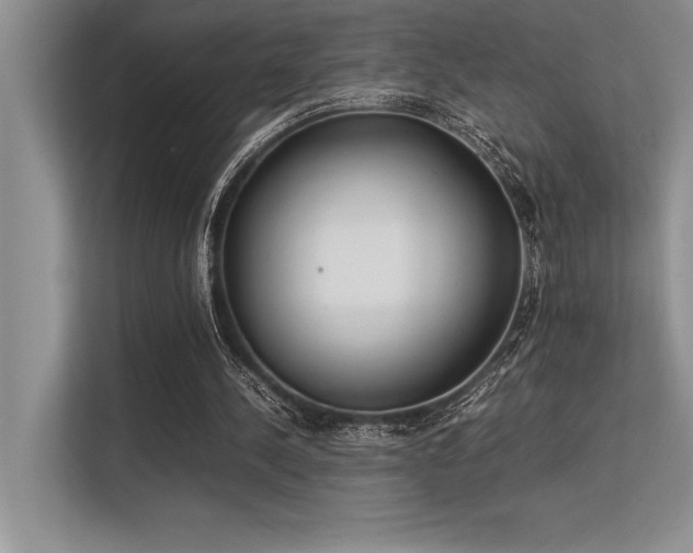 X0000113350244200909221150