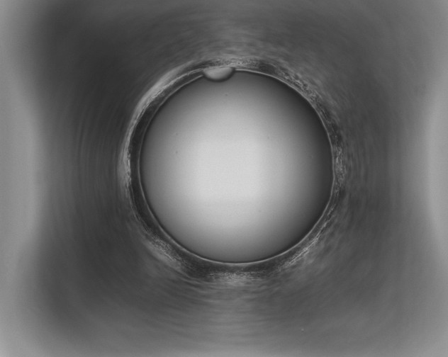 X0000113350246200909221150