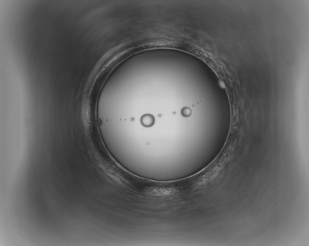 X0000113350247200909221150