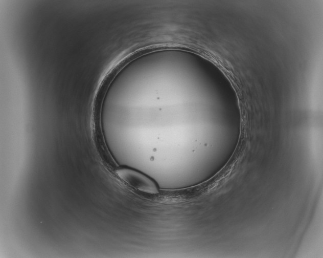 X0000113350248200909221150