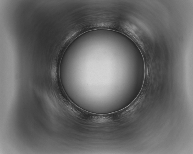 X0000113350249200909221150