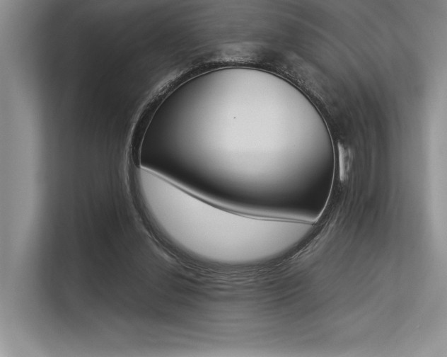 X0000113350252200909221150