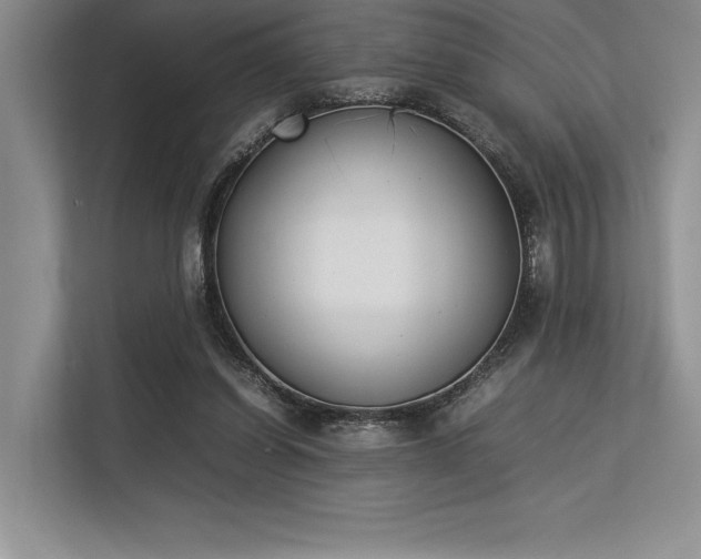 X0000113350254200909221150