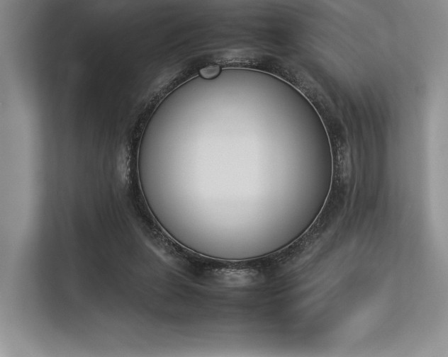 X0000113350255200909221150