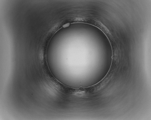 X0000113350257200909221150