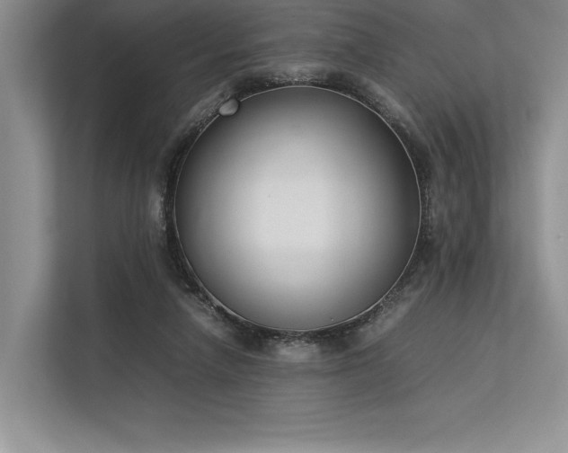 X0000113350258200909221150