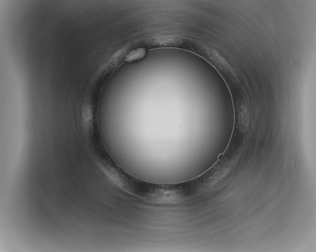 X0000113350260200909221150