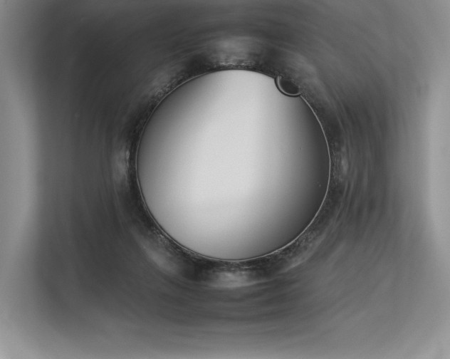 X0000113350263200909221150