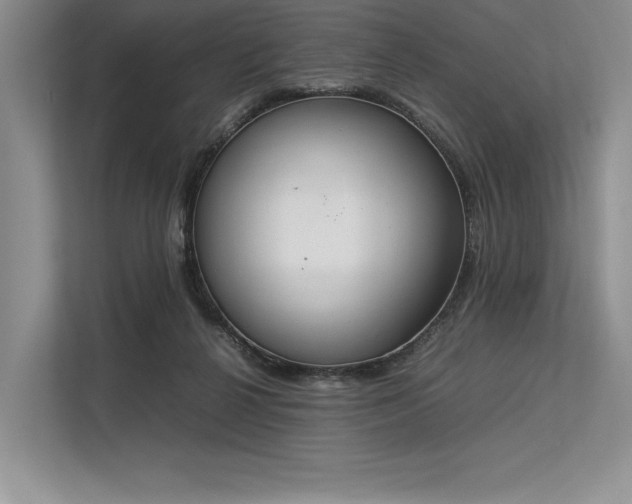 X0000113350264200909221150