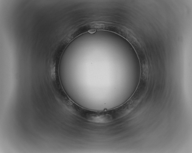 X0000113350267200909221150