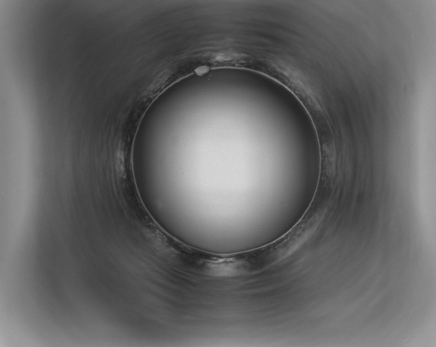 X0000113350269200909221150